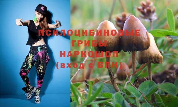 марки nbome Аркадак