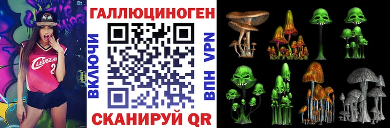 OMG вход  Белозерск  Псилоцибиновые грибы мицелий 